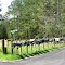 Mailboxes