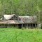 Needs slight attention, otherwise a perfect home in the woods