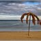 Lone Palm  :) Одинокая пальма