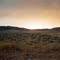 Desert Sunset