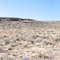 Desert