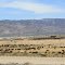 Pyramid Lake Road