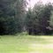 clearing in the woods
