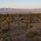 Pahrump, Nevada. Toward the Nopah Mountains