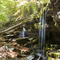 Above Ashley Falls