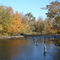 Salmon River