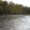 Salmon River, near Pineville