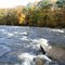 salmon river
