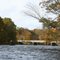 Salmon river beauty