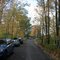Fall road