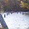 Salmon River Salmon Fishing