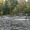 Fishing the Salmon River