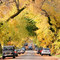 Vancouver Fall