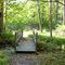 Lewis Woodlands