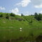 Берега Волги у Ржева (The Volga's banks near Rzev)