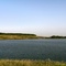 Каргаловская платина