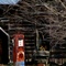 Still Life With Gas Pump