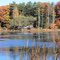North side of pond looking fromthe south side.