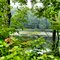 Small Lake Along Route 28 - 1