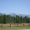 Grass airfield near Condon!