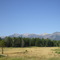 Near Condon looking at Holland Peak!