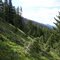 The Steep Slope Up the Trail To Rumble Lakes