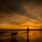 Boy and his dog - 199502LJW