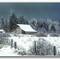 Snow covered barn - 198211LJW