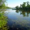 William's Lake