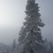 Winter in Okanogan