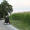 Kutsche im Amish County, Pennsylvania, USA