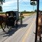 Amish Buggy Traffic