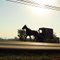 Amish horse buggy