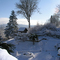 Snow Storm November 2006