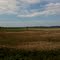 Snohomish Valley near Monroe