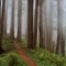 West Ridge Trail