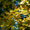 Autumn -artist.loft.net