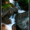Glowing Stream