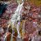 Northwest Waterfall