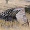 Collapsing building north of Ferdinand