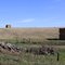 Hay field near Ferdinand