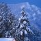 Snow in Cle Ellum