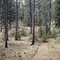 Future horse park