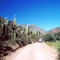 Ruta 40 de Seclantas a Cachi