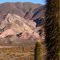 parque nacional de los cardones