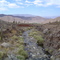 Raid 2007 ruta a Ruinas Las Pailas