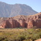 ARGENTINA-Salta-Quebrada de Cafayate-"Los Castillos"