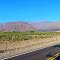 Paisaje y Viñedos desde la "Ruta N.40"  "Valles Calchaqui" "Cafayate"  "Salta"  "Arg"