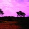 atardecer norteño