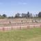 Carrera de galgos Hipodromo